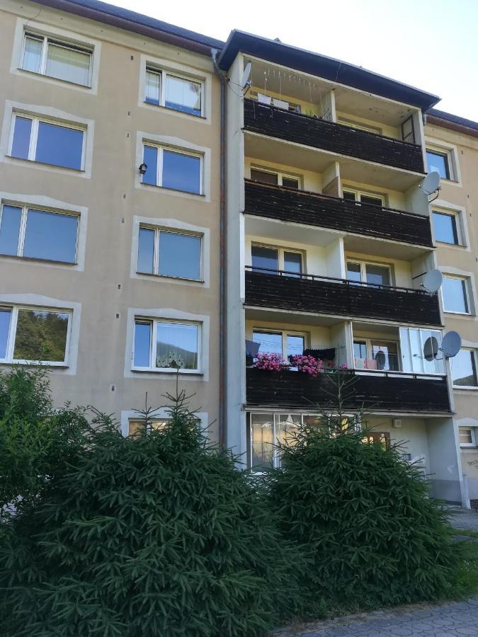 Apartman 21 Apartment Loucna nad Desnou Luaran gambar